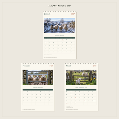 🔥Sheep With Places to Be - 2027 A4 Wall Calendar