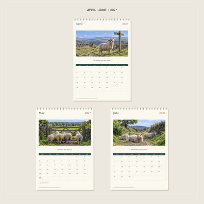 🔥Sheep With Places to Be - 2027 A4 Wall Calendar