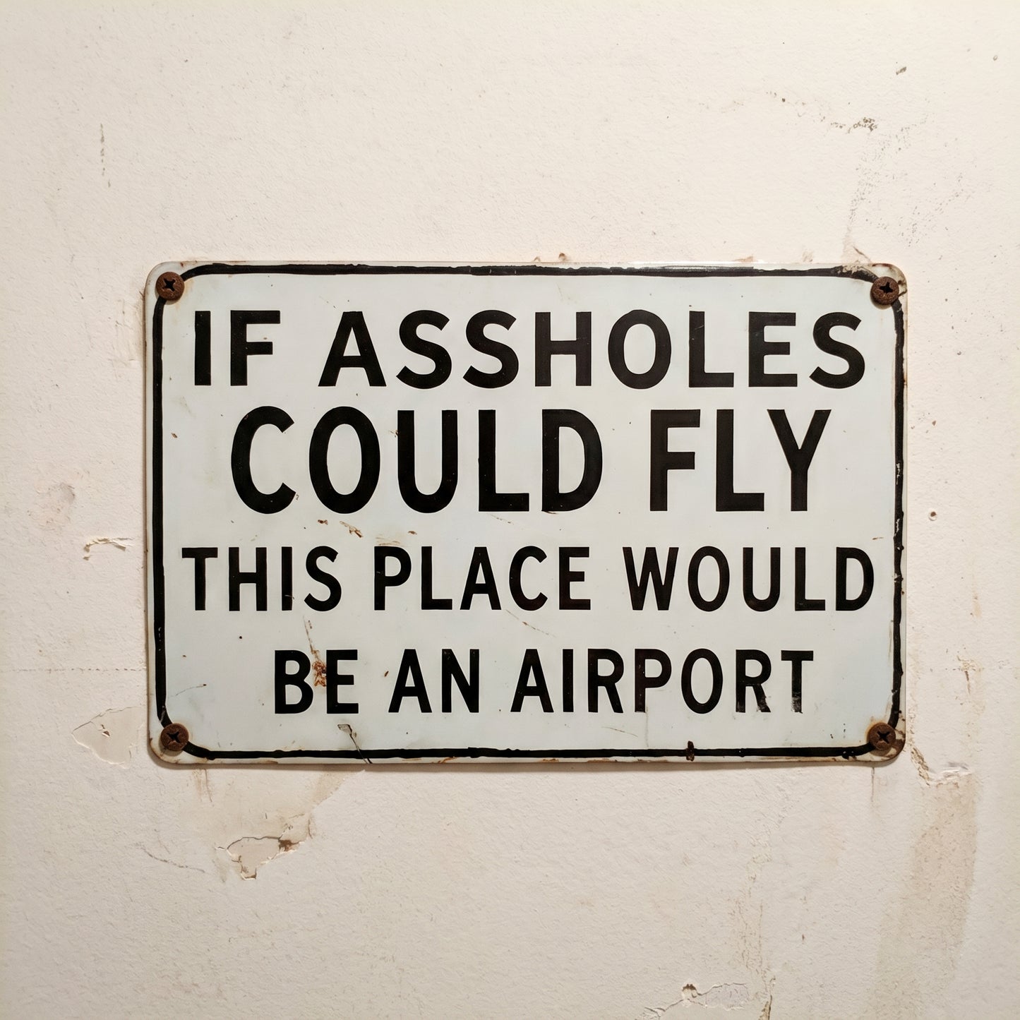 Funny "If Assholes Could Fly" Vintage Metal Sign – Hilarious Man Cave Wall Decor ✈️😂