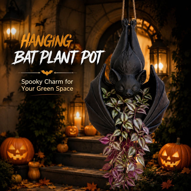 Hanging bat planter with a small trailing plant