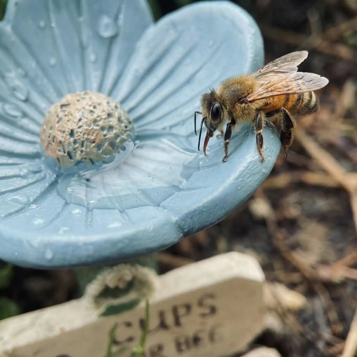 🐝Flower-Shaped Bee Watering Station💧