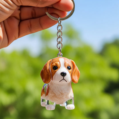 Dog Hair Collector Keychain Charm Memorial Storage Box