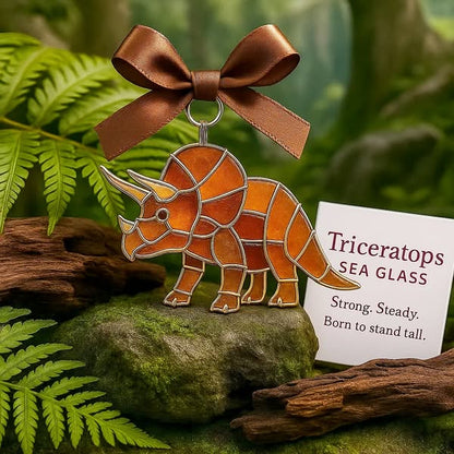 🔥 Black Friday--Dinosaur Sea Glass Pocket Hug