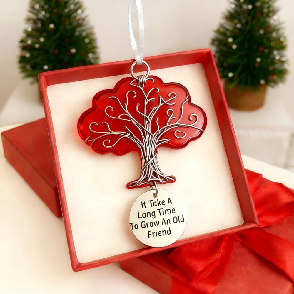 🌲Christmas Gift--💕🎁Friendship Thank You Gift