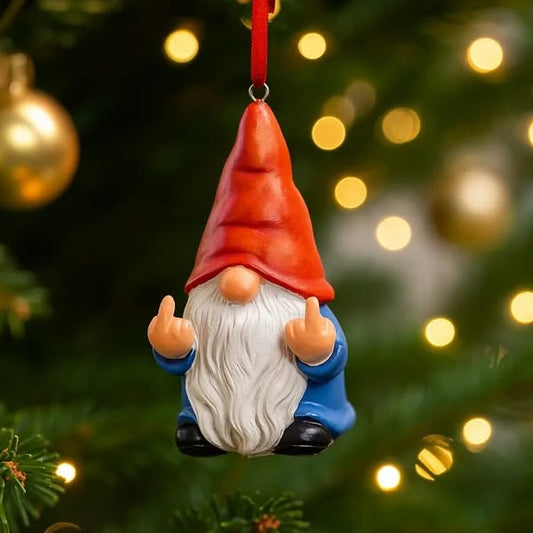 🌲Christmas Gift 50% Off--Middle Finger Gnome
