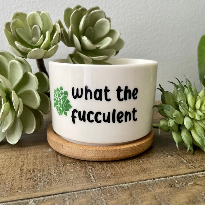 🎄Christmas Gift 50% Off--Funny unique succulent pots🌱