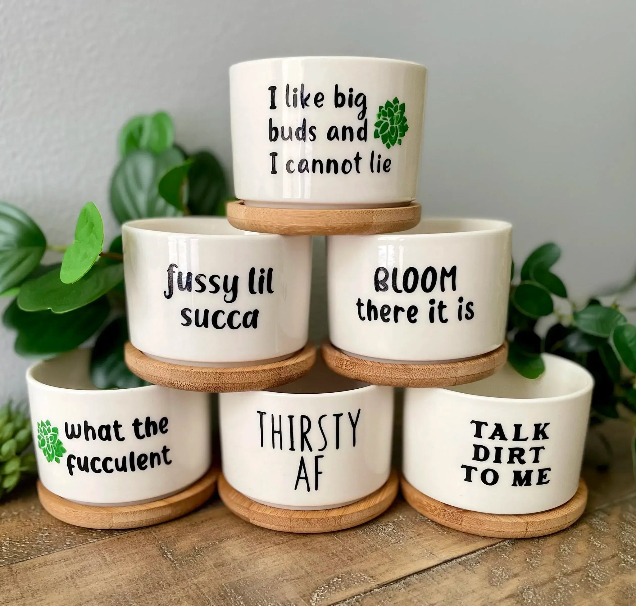 🎄Christmas Gift 50% Off--Funny unique succulent pots🌱