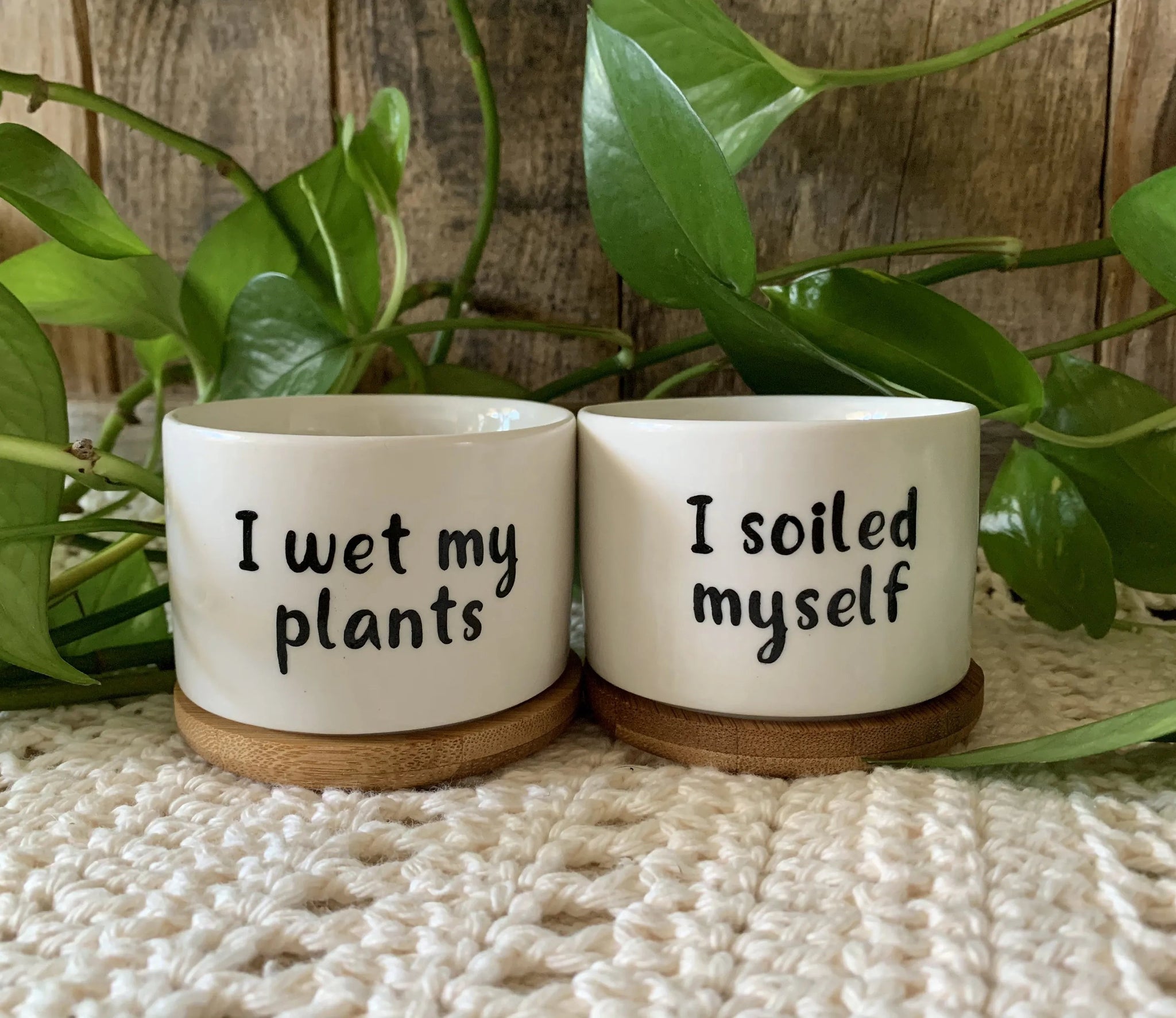 🎄Christmas Gift 50% Off--Funny unique succulent pots🌱