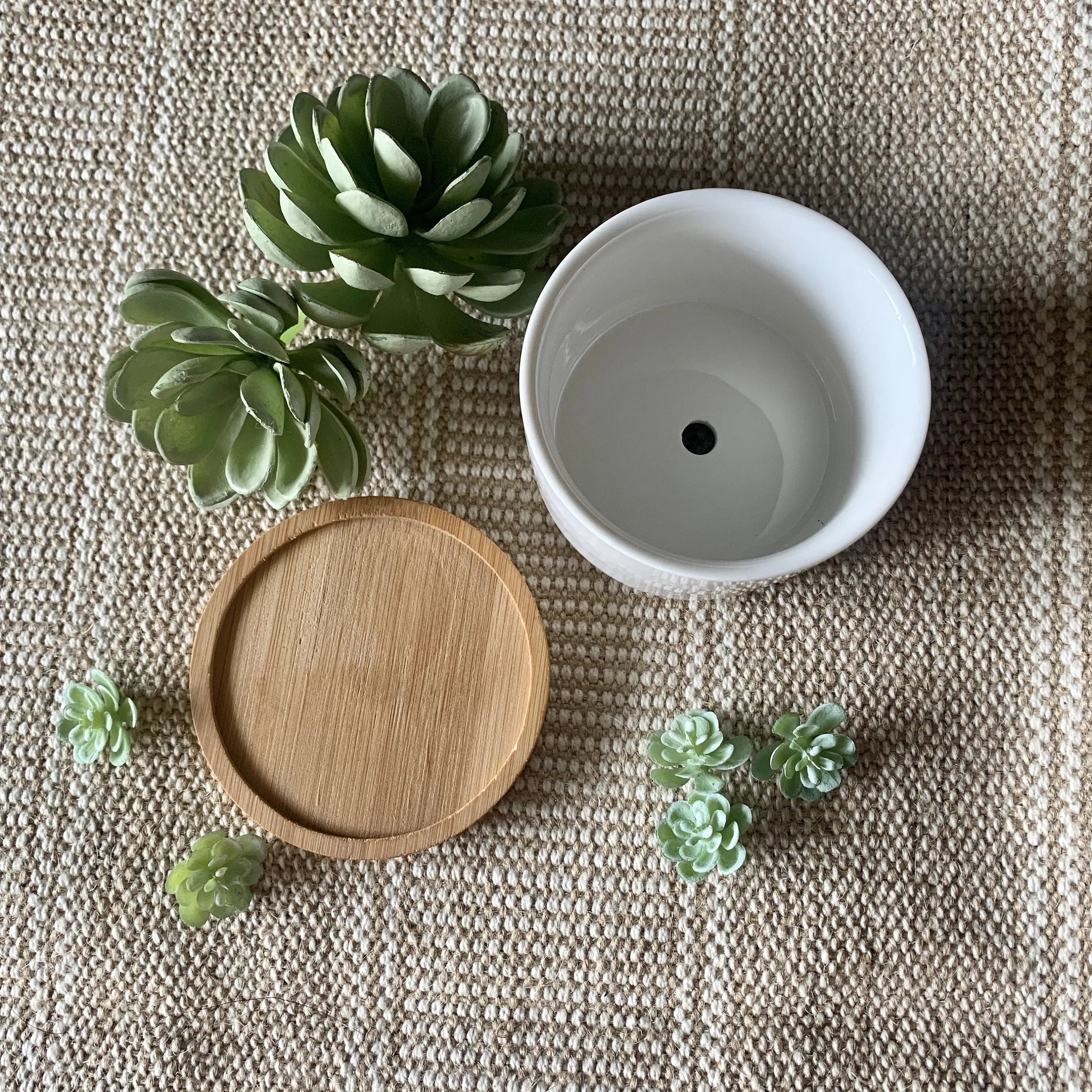 🎄Christmas Gift 50% Off--Funny unique succulent pots🌱
