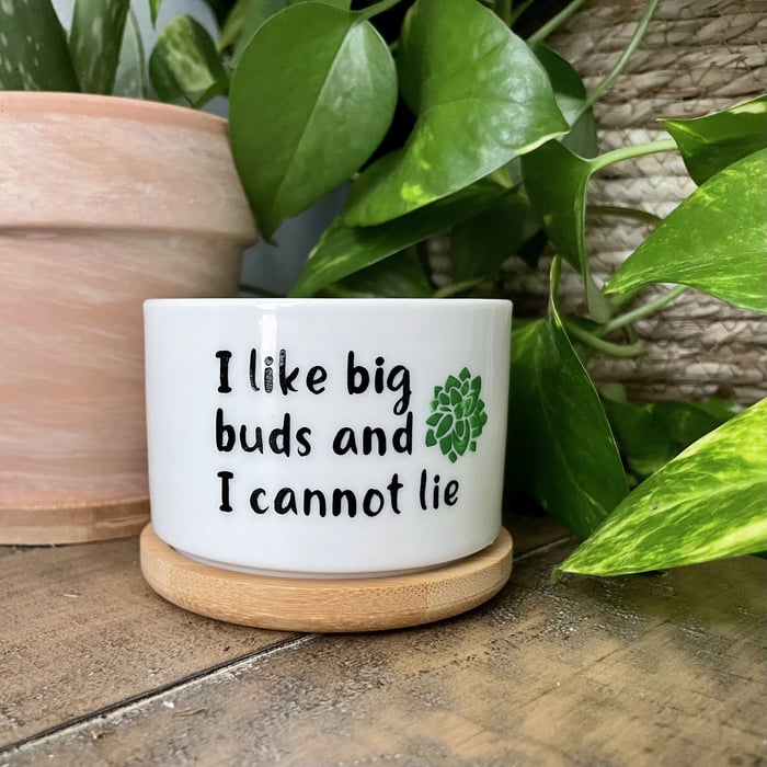 🎄Christmas Gift 50% Off--Funny unique succulent pots🌱