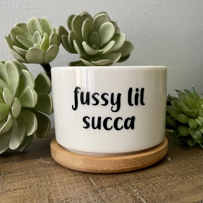 🎄Christmas Gift 50% Off--Funny unique succulent pots🌱
