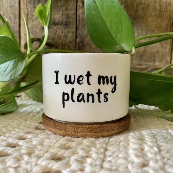 🎄Christmas Gift 50% Off--Funny unique succulent pots🌱
