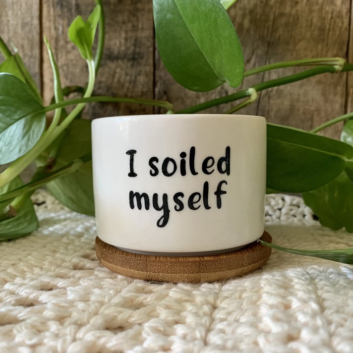 🎄Christmas Gift 50% Off--Funny unique succulent pots🌱