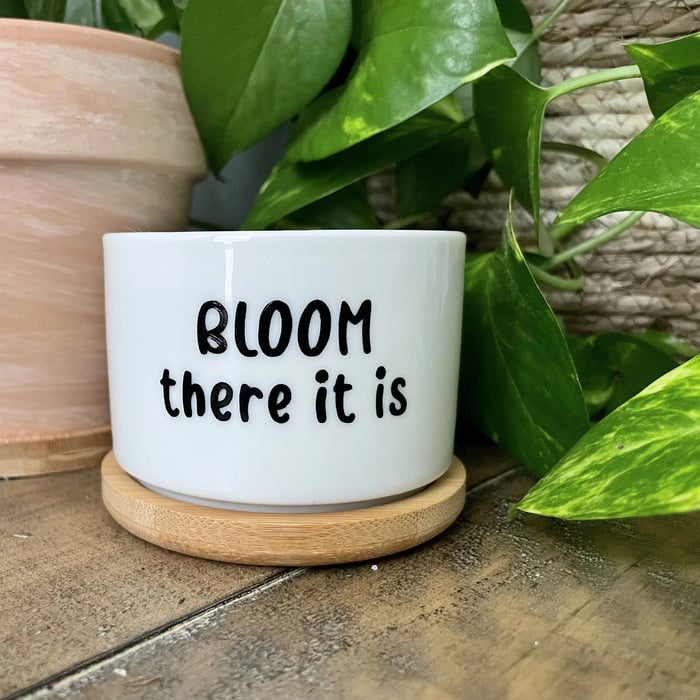🎄Christmas Gift 50% Off--Funny unique succulent pots🌱