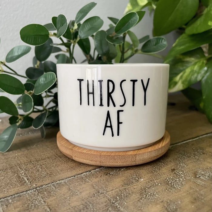 🎄Christmas Gift 50% Off--Funny unique succulent pots🌱