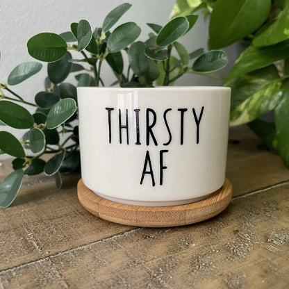 🎄Christmas Gift 50% Off--Funny unique succulent pots🌱
