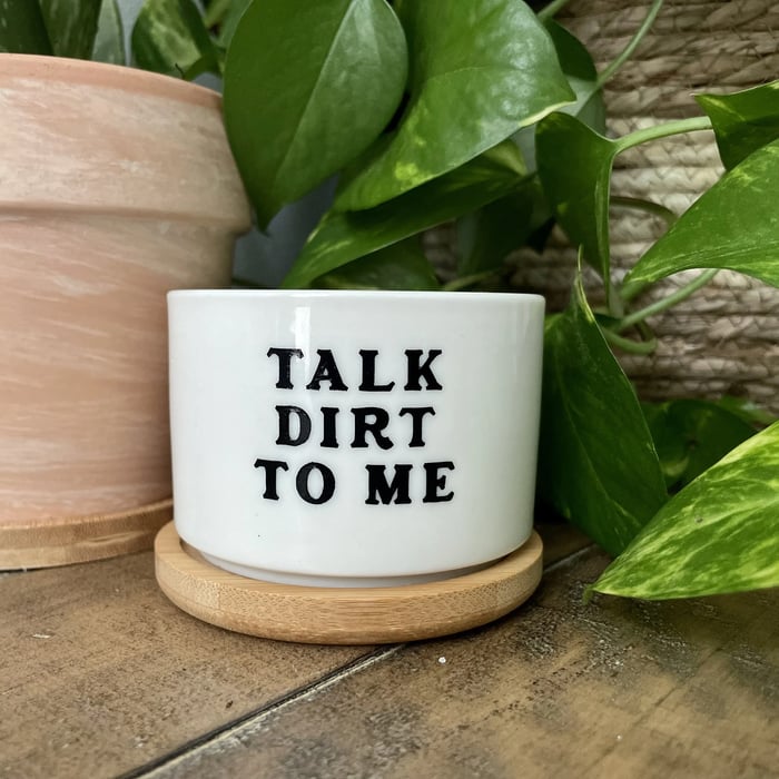 🎄Christmas Gift 50% Off--Funny unique succulent pots🌱