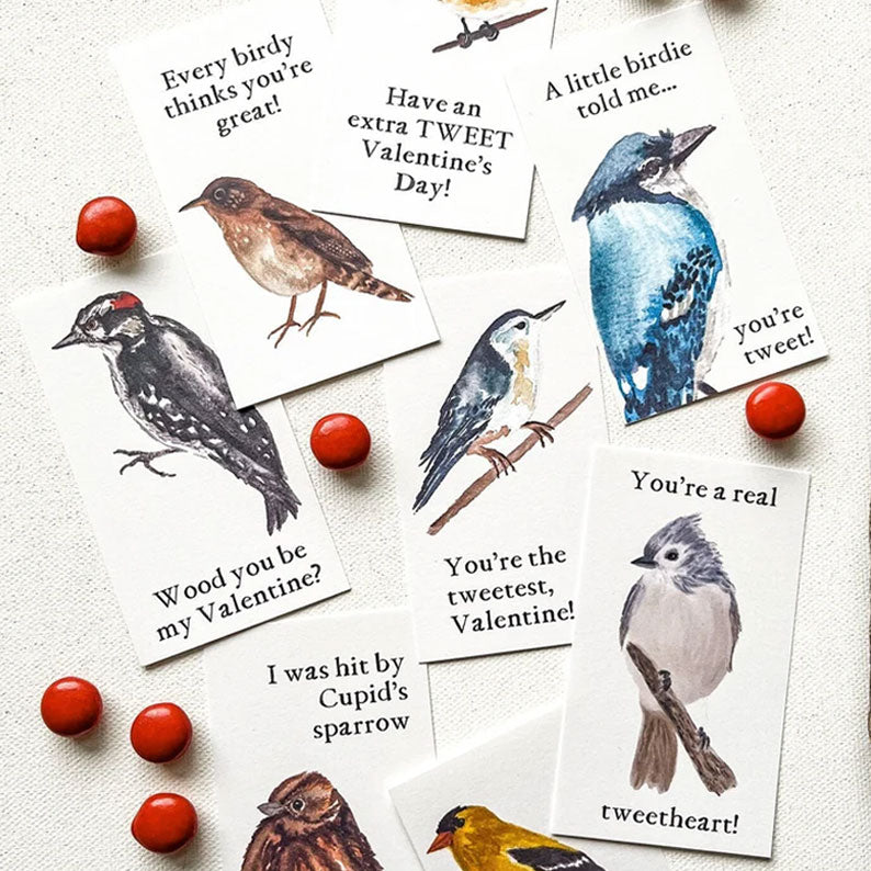 🔥🔥Valentine Gift--Bird Valentine Cards