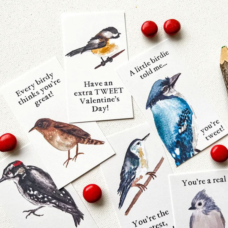 🔥🔥Valentine Gift--Bird Valentine Cards