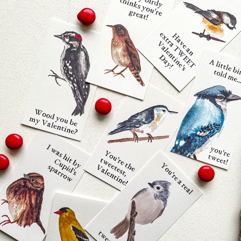 🔥🔥Valentine Gift--Bird Valentine Cards