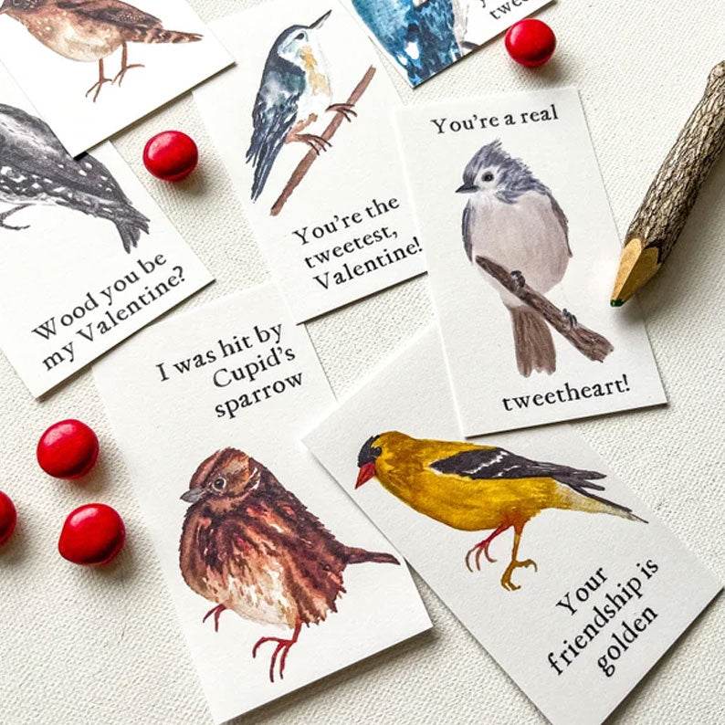 🔥🔥Valentine Gift--Bird Valentine Cards