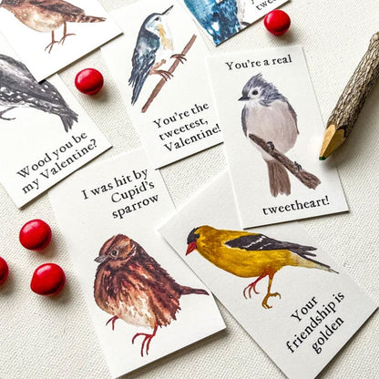 🔥🔥Valentine Gift--Bird Valentine Cards