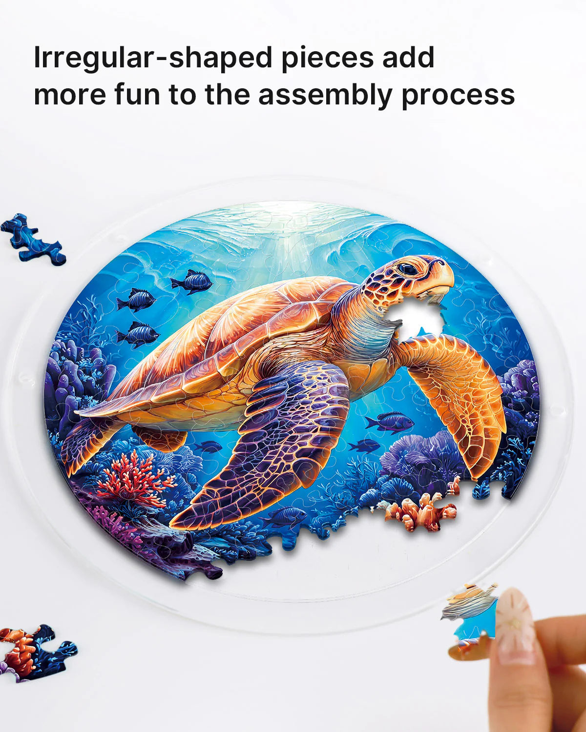 Acrylic Jigsaw Puzzle Suncatcher -Starsea Turtle