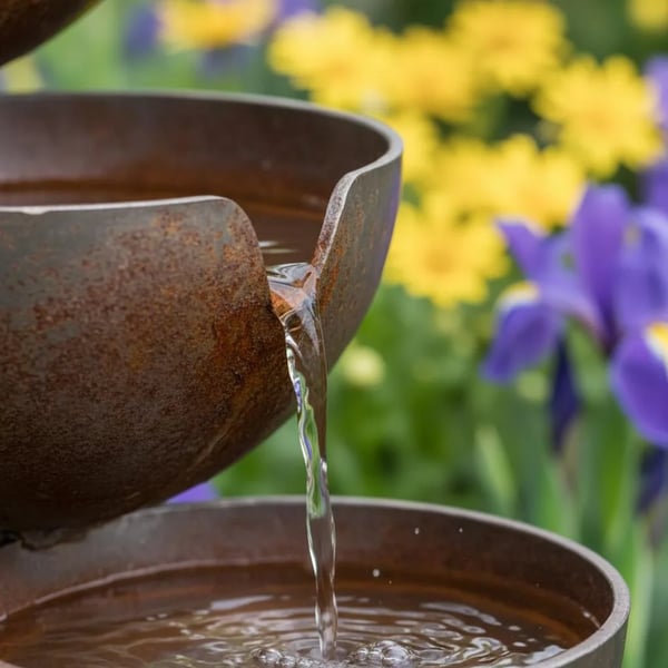 Last Day 50% OFF🔥Bring Life Back To Your Garden – Rain Catcher Bird Bath 🌿🐦